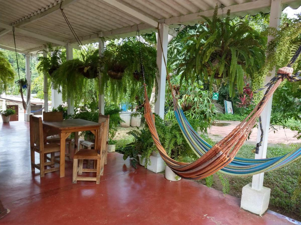 Hostel Villa Silvia Minca Luaran gambar